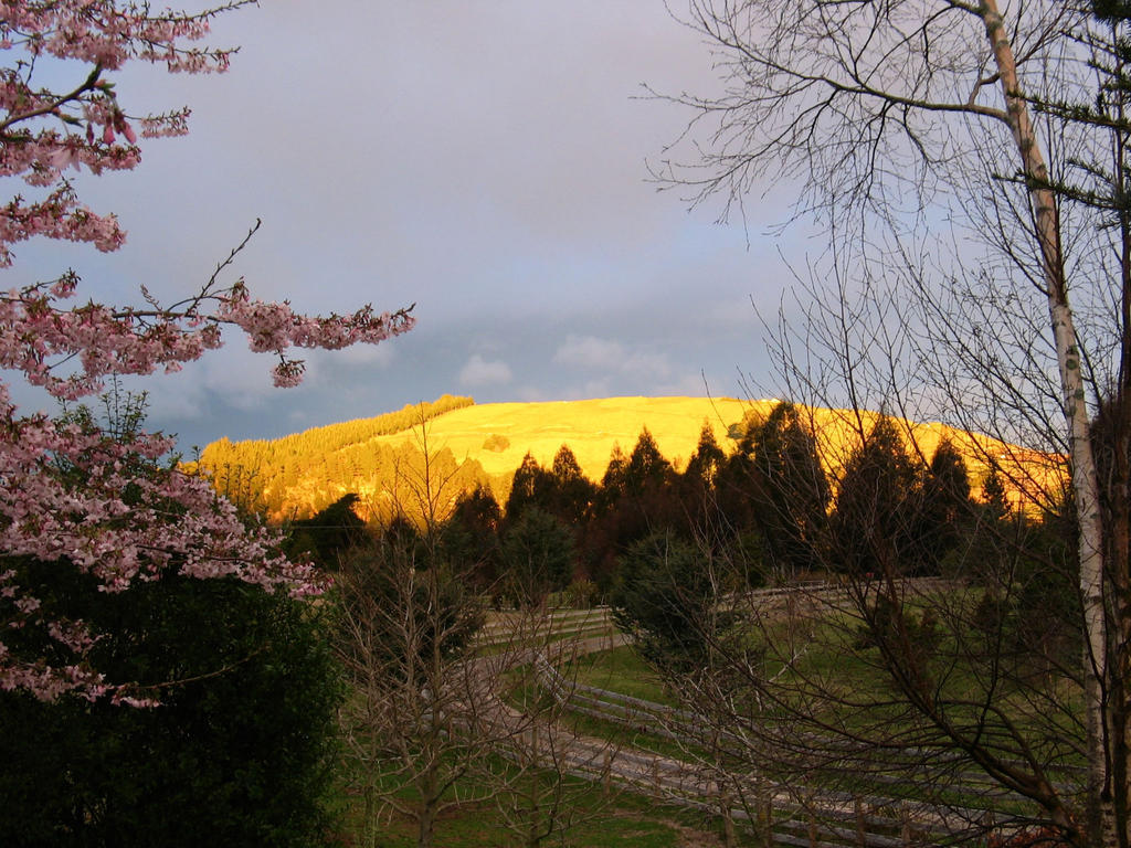 Whakaipo Lodge Tauposee Exterior foto